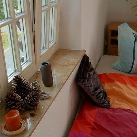 Forrest Apartments In Freiberg Min Stay 2 Nights Max Number Of Guest 1 Aprt 1 Exterior foto